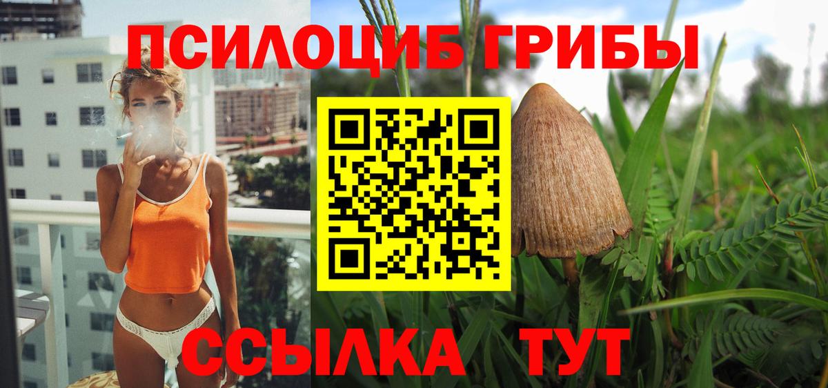 Псилоцибиновые грибы Magic Shrooms  Вход с VPN  Тихвин 